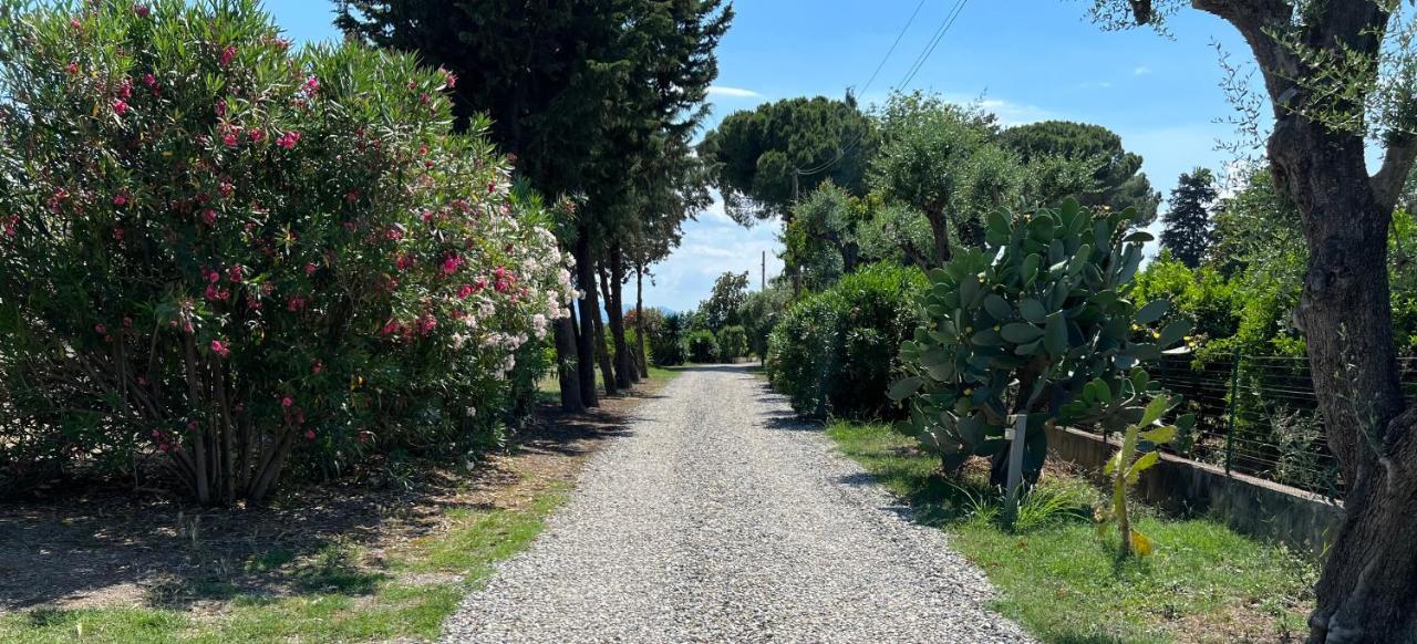 Thurii Masseria Brica Rossa 빌라 외부 사진
